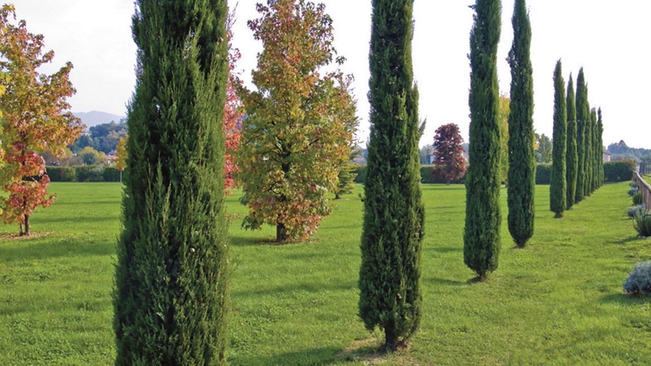 لوكا "Encantea" Lovely Country House المظهر الخارجي الصورة